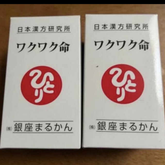 ワクワク命２個  賞味期限24年2月食品/飲料/酒