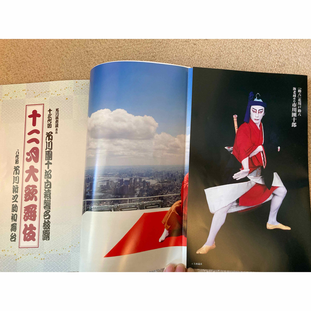 市川團十郎白猿襲名披露十二月大歌舞伎　筋書 チケットの演劇/芸能(伝統芸能)の商品写真