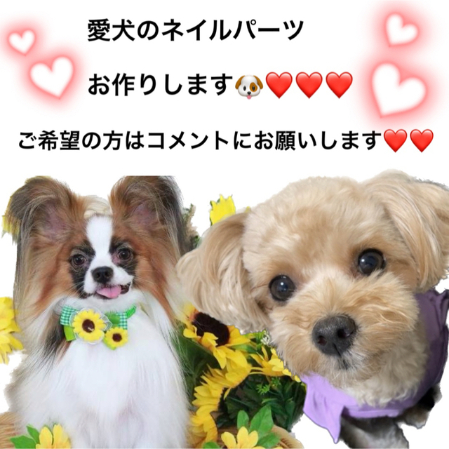 愛犬 愛猫ネイルパーツオーダー 🐶🐱❤️ コスメ/美容のネイル(デコパーツ)の商品写真