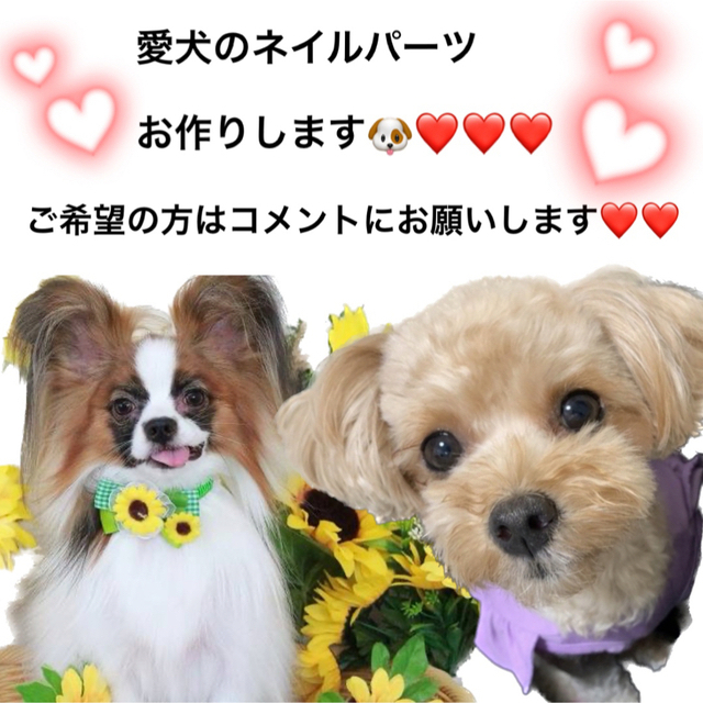 愛犬 愛猫ネイルパーツオーダー ????????❤️