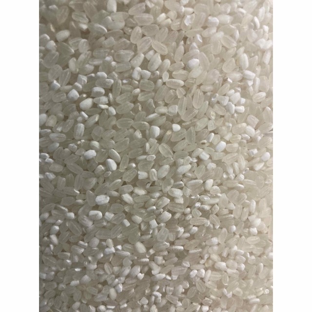 数量限定】大特価セール!コスパ米20kg(5kg×4袋) 新米 お米 白米の通販 ... 【数量限定】大特価セール!コスパ米20kg(5kg×4袋) 新米 お米