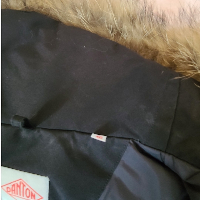 DANTON(ダントン)のりんりん様専用　DANTON タッサーダウンコート メンズのジャケット/アウター(ダウンジャケット)の商品写真