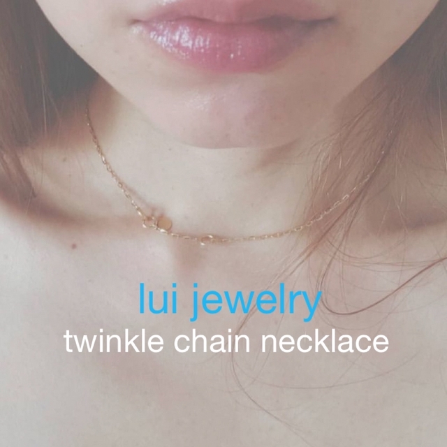 lui jewelry /ルイジュエリーtwinklechainnecklace