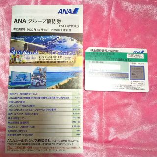 エーエヌエー(ゼンニッポンクウユ)(ANA(全日本空輸))のANA 株主優待 割引券(その他)