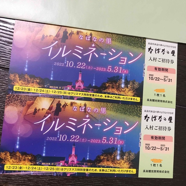遊園地/テーマパーク なばなの里12月24日クリスマス限定チケット