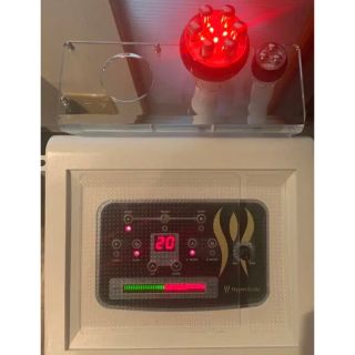 オンラインストア取寄」 ワム 正規品 大人気 格安 bodycontourz.com