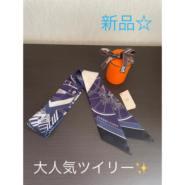 P様専用* HERMES ツイリー Springs Springs 新品✨ gestao.saneecos