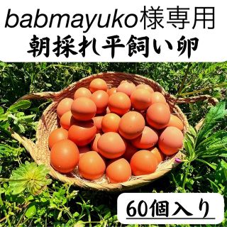 babmayuko様専用　60個入　宮下養鶏の平飼い卵(その他)