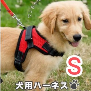 ⚡今だけ！期間限定価格⚡【Sサイズ】ハーネス 犬用品 レッド 赤 犬服 ペット服(リード/首輪)