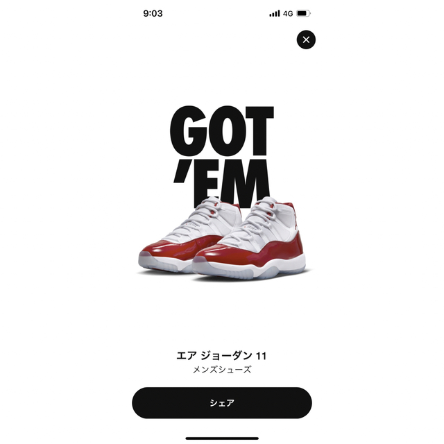 NIKE AIR JORDAN 11 RETRO CHERRY チェリー 27