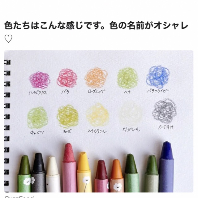 花と野菜のクレヨン　10色セット　メモブックシリーズ　スケッチブック　 エンタメ/ホビーのアート用品(クレヨン/パステル)の商品写真