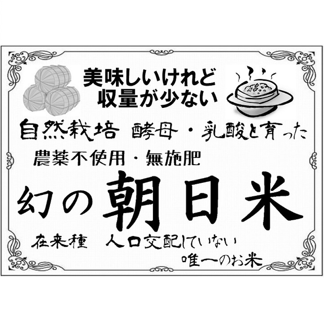 20kg小袋×8　農薬不使用　R5年　朝日米　在来種　肥料不使用-　自然栽培　玄米