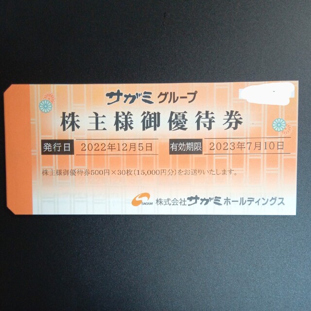 チケットサガミ　株主優待　15000円分