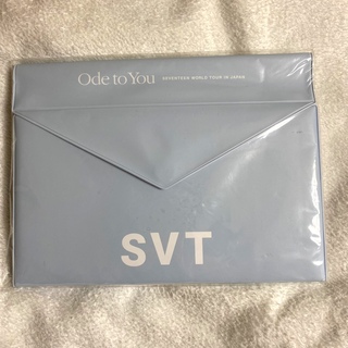 セブンティーン(SEVENTEEN)のセブチ SEVENTEEN トレーディングカードファイル SVT OTY(アイドルグッズ)