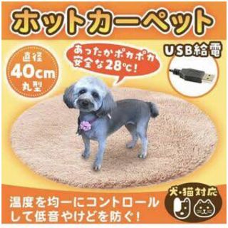 ペット用 カーペット ペットヒーター マット 犬 猫 USBヒーター ホット(ホットカーペット)