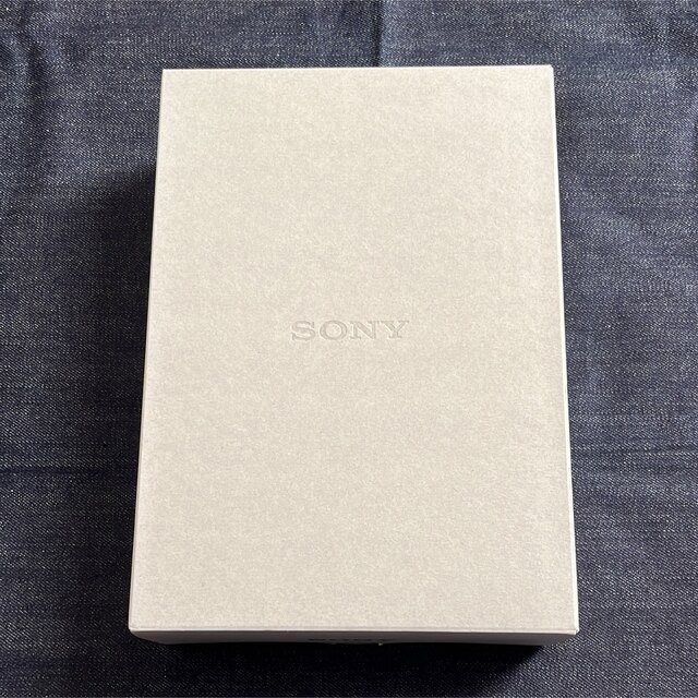 SONY ウォークマン 256GB NW-WM1ZM2