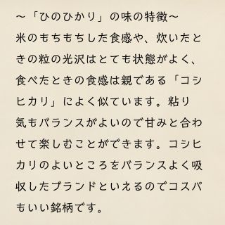 九州限定》ヒノヒカリ 玄米 30kg 新米 令和4年 1等米 厳選米 お米の
