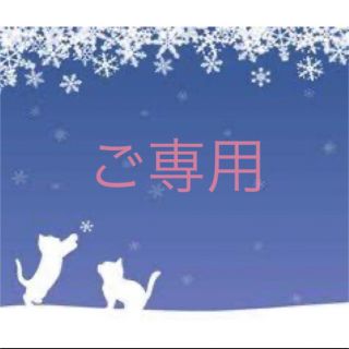 ご専用販売 ハンドメイドポーチ(ポーチ)