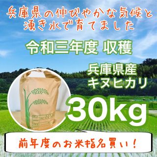 令和三年度産 山の湧き水育ち 農家直送 兵庫県産キヌヒカリ 30kg(米/穀物)