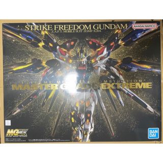 バンダイ(BANDAI)のMGEX ストライクフリーダムガンダム(模型/プラモデル)