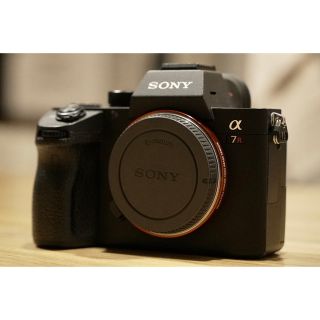 ソニー(SONY)のSONY α7rⅲ(ミラーレス一眼)