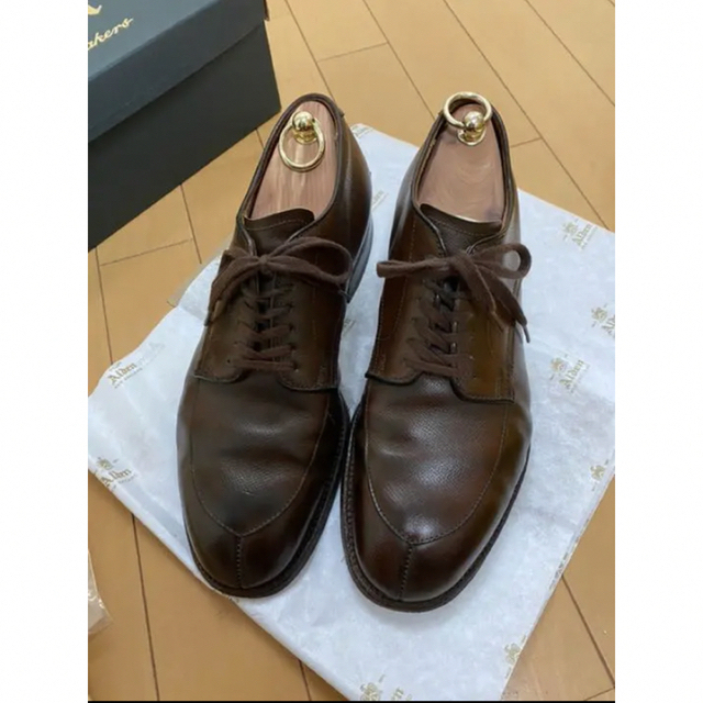 Alden vチップ　54405 アルパインカーフ9Dメンズ