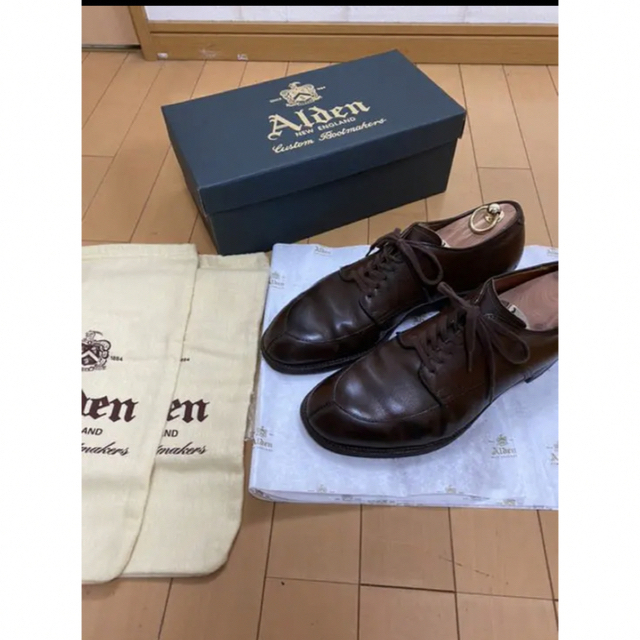 Alden vチップ　54405 アルパインカーフ9Dメンズ