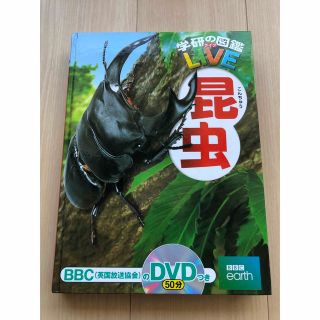 ガッケン(学研)の【DVD付】昆虫 (学研の図鑑LIVE) 3歳~小学生向け 図鑑(絵本/児童書)