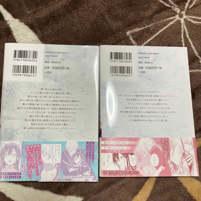 落ちこぼれ魔女と恋を知らない天才魔術師 落ちこぼれ魔女と恋を知らない天才魔術師