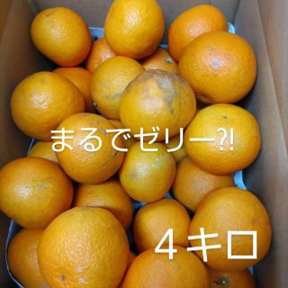 大分県産不思議食感 ジュレ柑 家庭用 ４キロ(フルーツ)