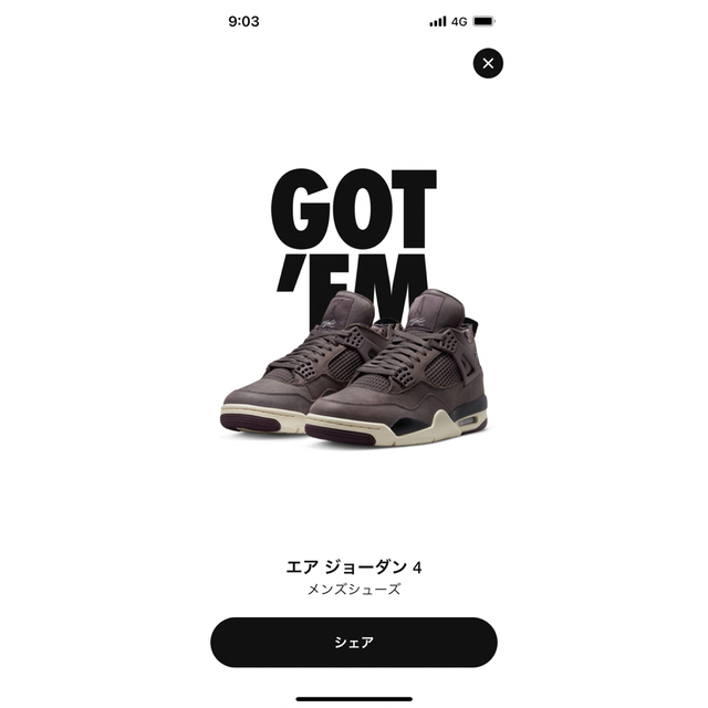 NIKE エアジョーダン4 アママニエール