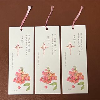 聖書　しおり　3葉　ピンク(印刷物)