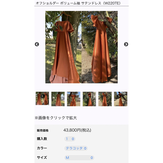 ドレスプロダクション　テラコッタ　ドレス　M 5