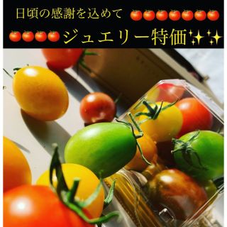 龍宮ジュエリー特価(野菜)