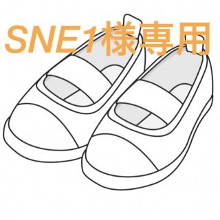 SNE1様専用です(スクールシューズ/上履き)