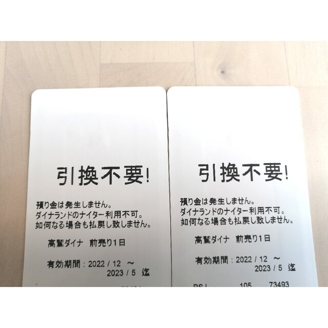 22-23】高鷲スノーパーク ダイナランド共通リフト券 おまけ割引券 各2