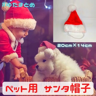 わんちゃんや猫ちゃん、ペット用サンタ帽子【家族みんなでクリスマスを楽しもう♪】(その他)