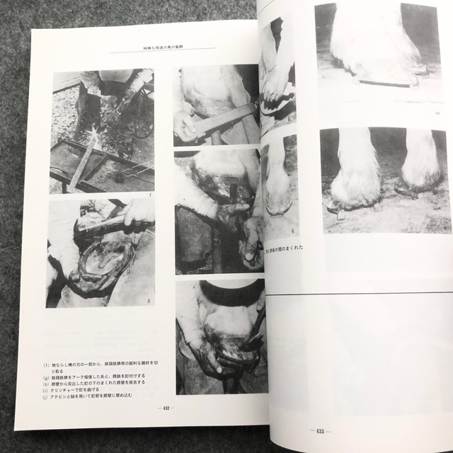 【非売品】「装蹄の原則・Ⅱ　図説・装蹄の理論と技術」社団法人 日本装蹄師会