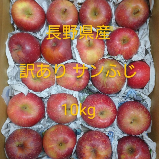 訳-④ サンふじ 訳あり10kg 長野県産 りんご 食品/飲料/酒の食品(フルーツ)の商品写真