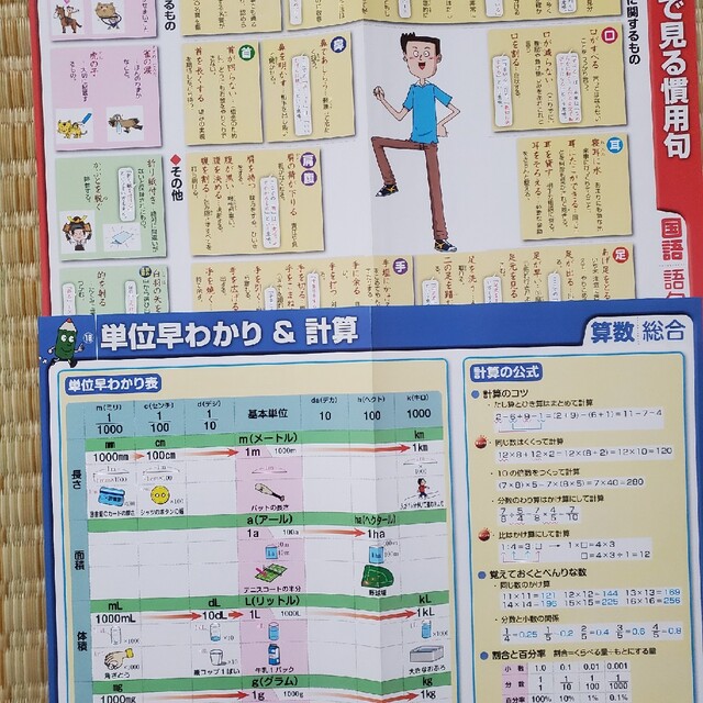 旺文社(オウブンシャ)の削除予定　でる順　小学校まるごと　暗記ポスターブック　改訂版 エンタメ/ホビーの本(語学/参考書)の商品写真