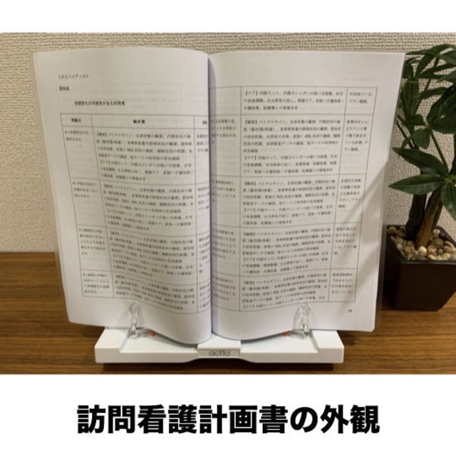 【３冊セット】訪問看護報告書・計画書のルールと記載例＋フィジカルアセスメント集 エンタメ/ホビーの本(語学/参考書)の商品写真