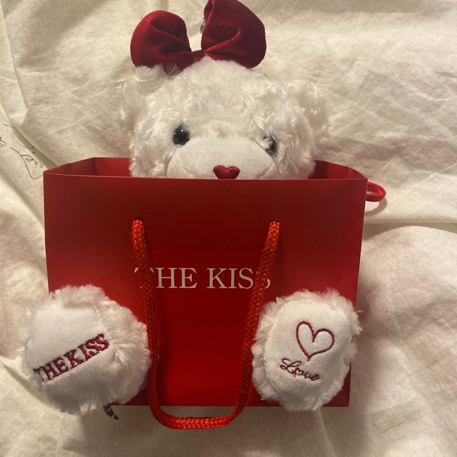 THE KISS(ザキッス)のTHE KISS セット エンタメ/ホビーのおもちゃ/ぬいぐるみ(ぬいぐるみ)の商品写真