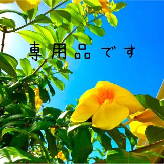 yumi様専用品 5の通販|ラクマ