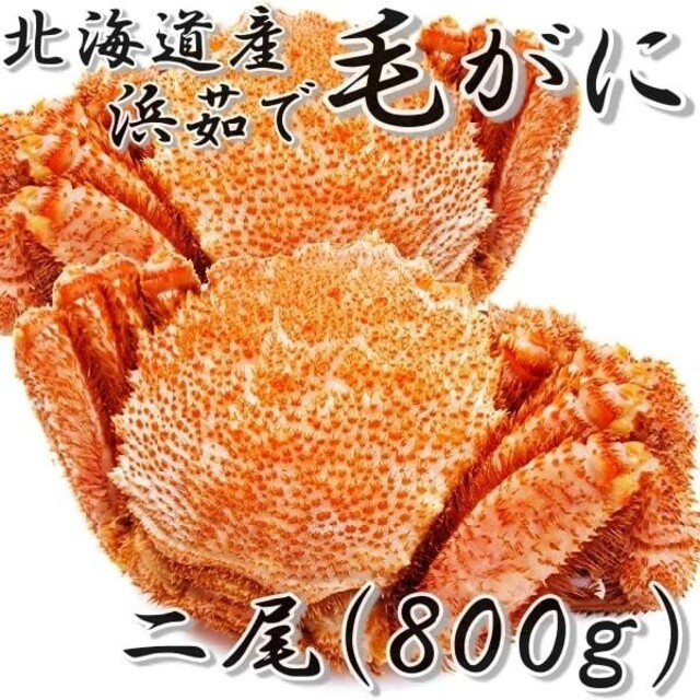 食品/飲料/酒毛ガニ２尾(800g)　北海道産　一折れだけど身入りシッカリ