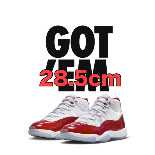 Nike Air Jordan 11 Varsity Red 28.5cm