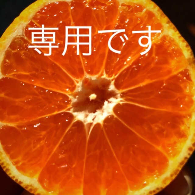 モーさん様専用です⭐︎完熟みかん⭐︎訳あり⭐︎の通販 by orange's