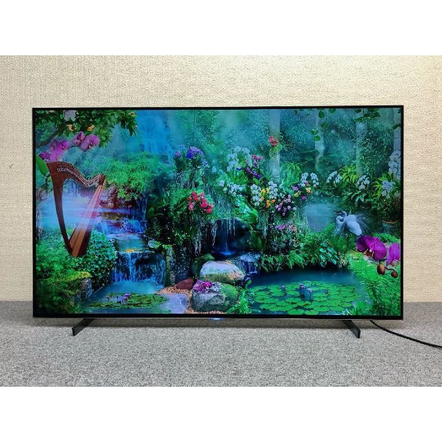 期間限定お試し価格】 フナイ 48インチ 4K 有機ELテレビ FE-48US740