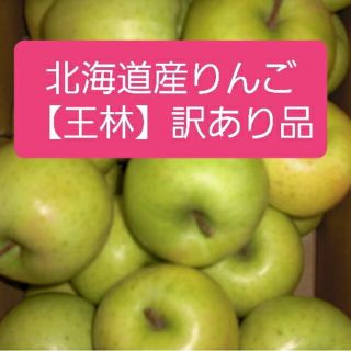 北海道余市町産りんご【王林】酸味が少なく甘味が強い　訳あり品　約１０キロ(フルーツ)