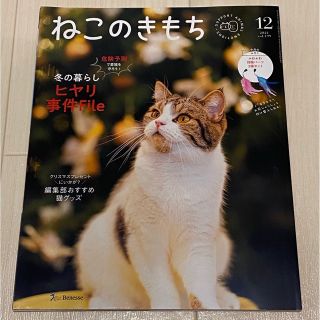 ベネッセ(Benesse)のねこのきもち　2021年12月号になります(猫)