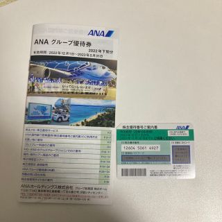 エーエヌエー(ゼンニッポンクウユ)(ANA(全日本空輸))のANA 株主優待(その他)